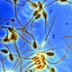 Illustration for article titled The Older You Get, the More Likely It Is Youll Have Mutated Selfish Sperm Cells